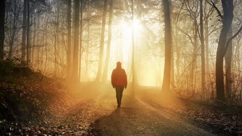 8-24-25 Lord Yeshua Assisting You To Quicken The Spirit of The Living God Within You