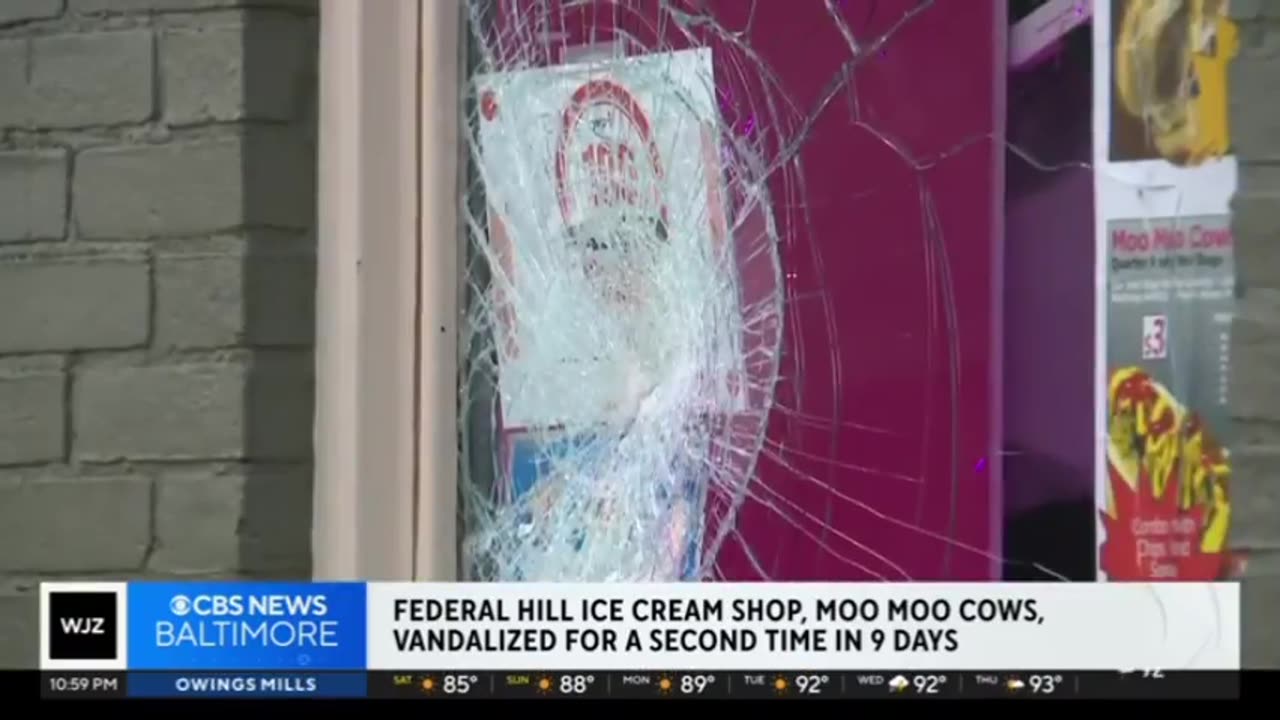 Niggers vandalize Moo Moo Cows Ice Cream