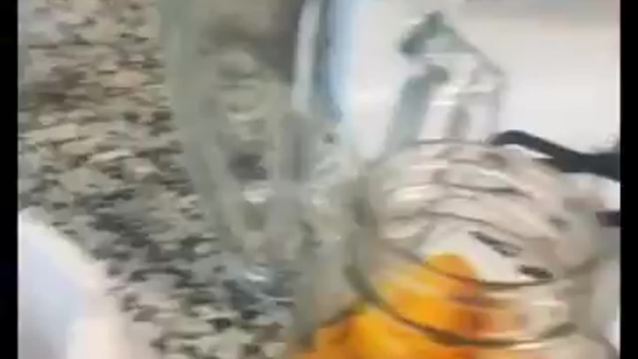 TikTok Education
