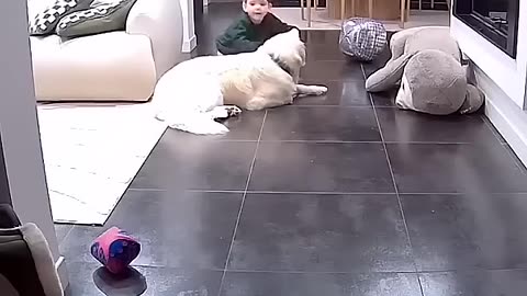 Respect to his parents, well raised👏👏👏🐶