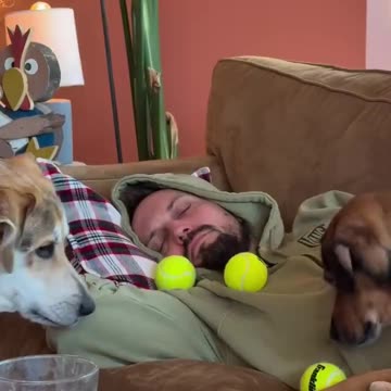 THROW IT 🤣ALREADY!