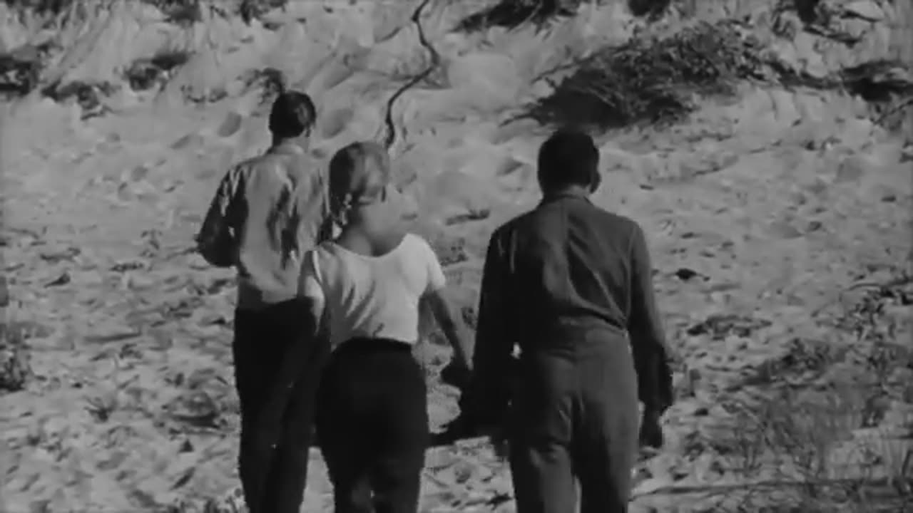 The Flesh Eaters