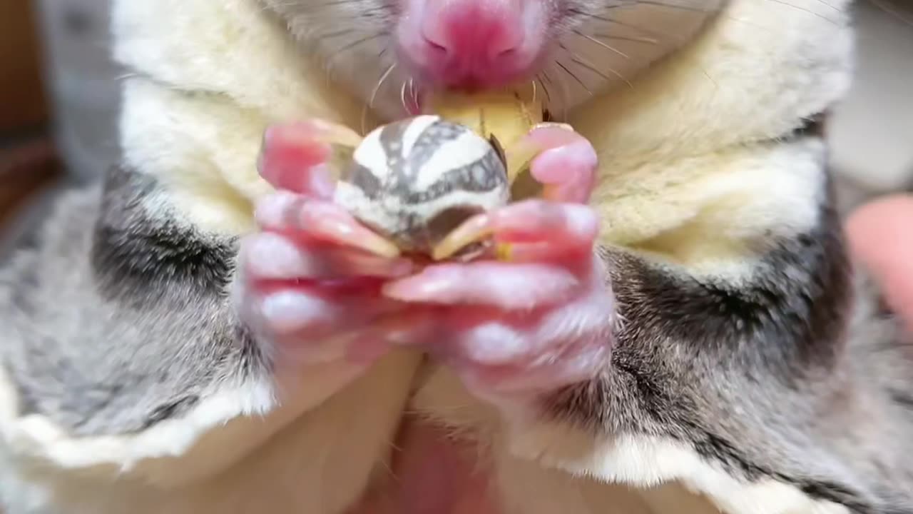 Một món ăn ngon nối tiếp nhau #3