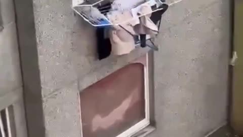 In Germany Muslim rat fishing