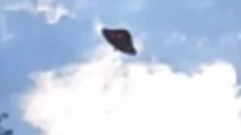 Not a Butterfly. Another shape shifting watcher.