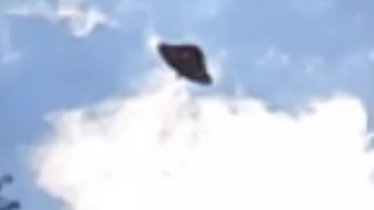 Not a Butterfly. Another shape shifting watcher.