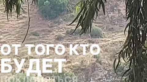 Почему Аллах не принимает поклонение ради показухи