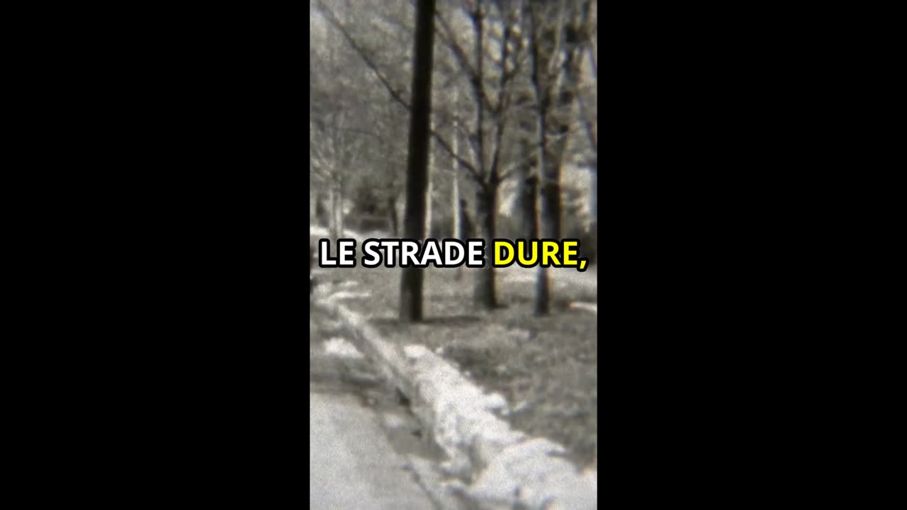 La Vita di Frank Cullotta_ Mafioso