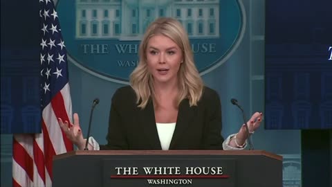 Karoline Leavitt grilled on Epstein nothing burger