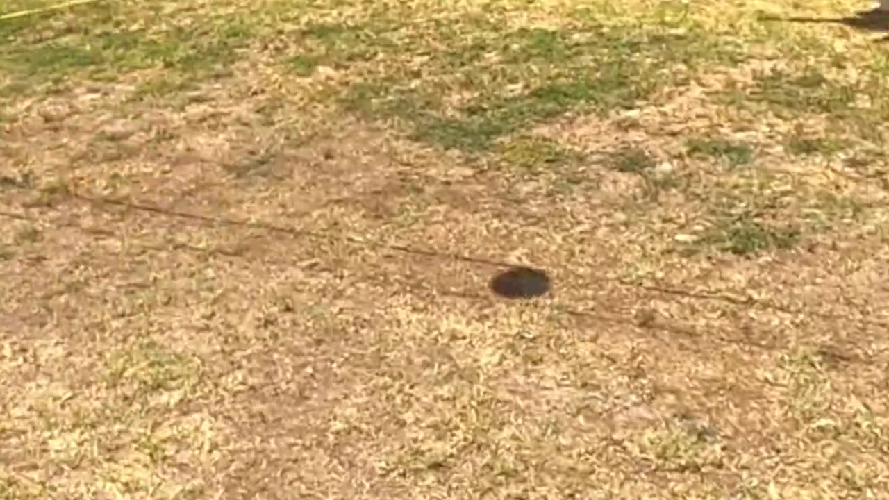 Playing Volleyball