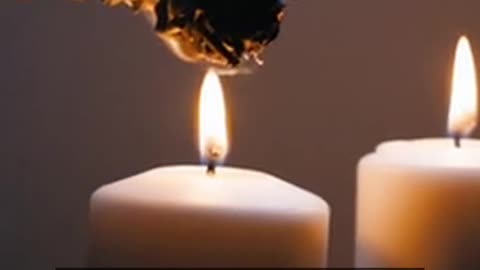 Daily Horoscope | Aries 🌟