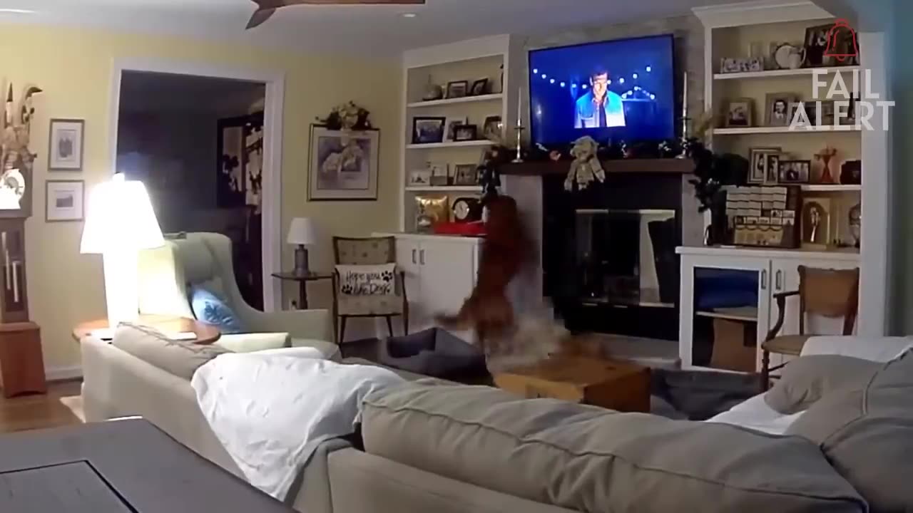 Funny Fails Compilation: People Failing Hilariously