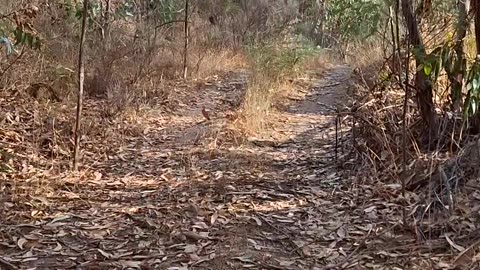 Indian parable "The Blind Men and the Elephant" and the need to build a holistic culture