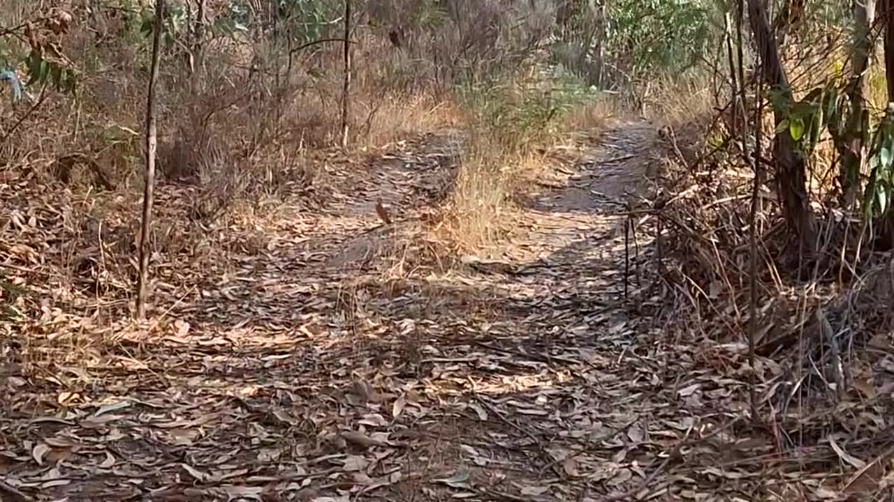 Indian parable "The Blind Men and the Elephant" and the need to build a holistic culture