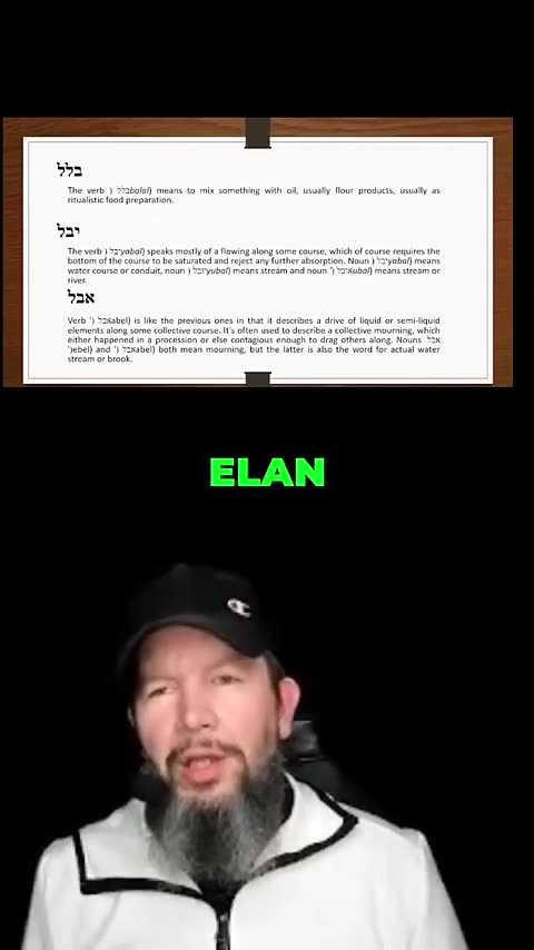 Absolutely Strange! Stargate AI-Trump-Elon-Sumerian AI