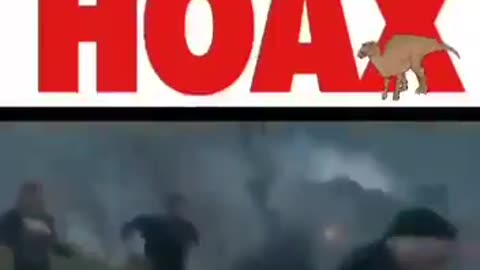 Did you know dinosaurs are a hoax?