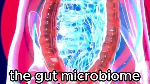 Transform Gut Health