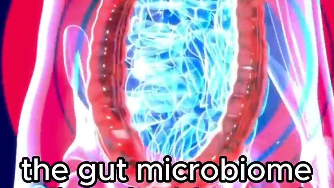 Transform Gut Health