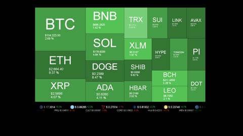 Live Coin Price Watch!