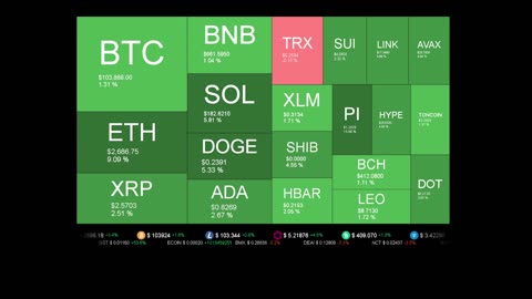 Live Coin Price Watch!