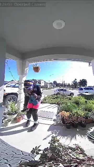 FedEx Delivery Driver Making Work Fun