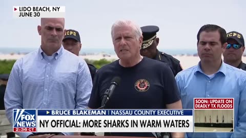New York shark sightings raise safety worries