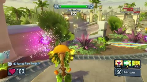 sunflower dust gw1