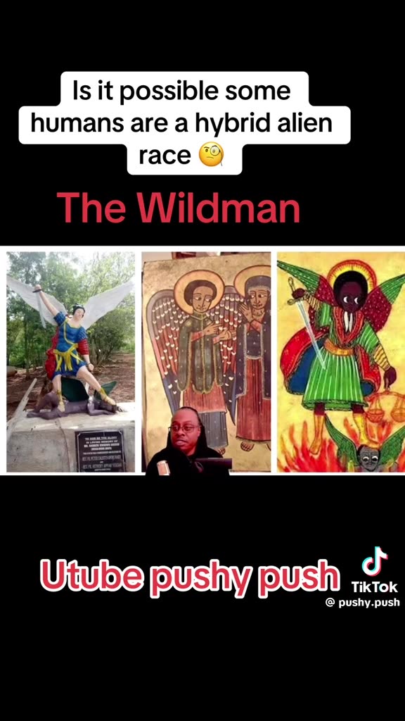 Is it possible some humans are a hybrid alien race The Wildman