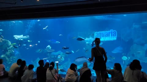 Phuket - Aquaria lll.