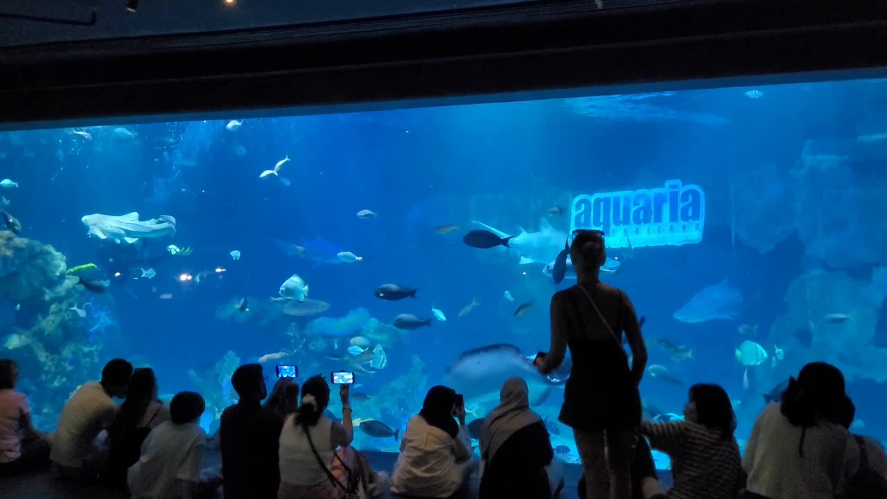 Phuket - Aquaria lll.