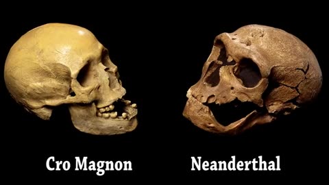 ROBERT SEPEHR | Ancient Origins of the Werewolf-Vampire Wars