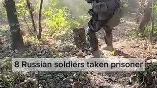 Bakhmut Frontline: Ukrainian Forces Reclaim Territory