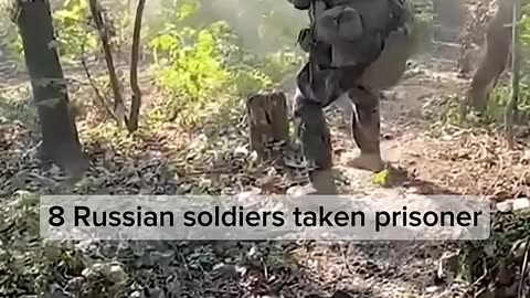 Bakhmut Frontline: Ukrainian Forces Reclaim Territory