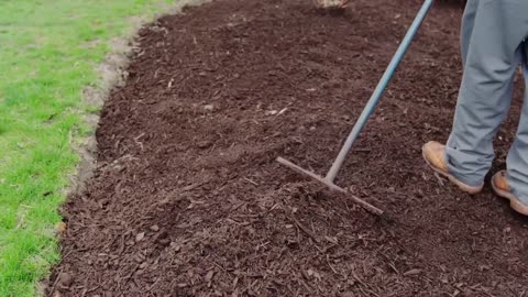 How to Prepare Azaleas for Spring
