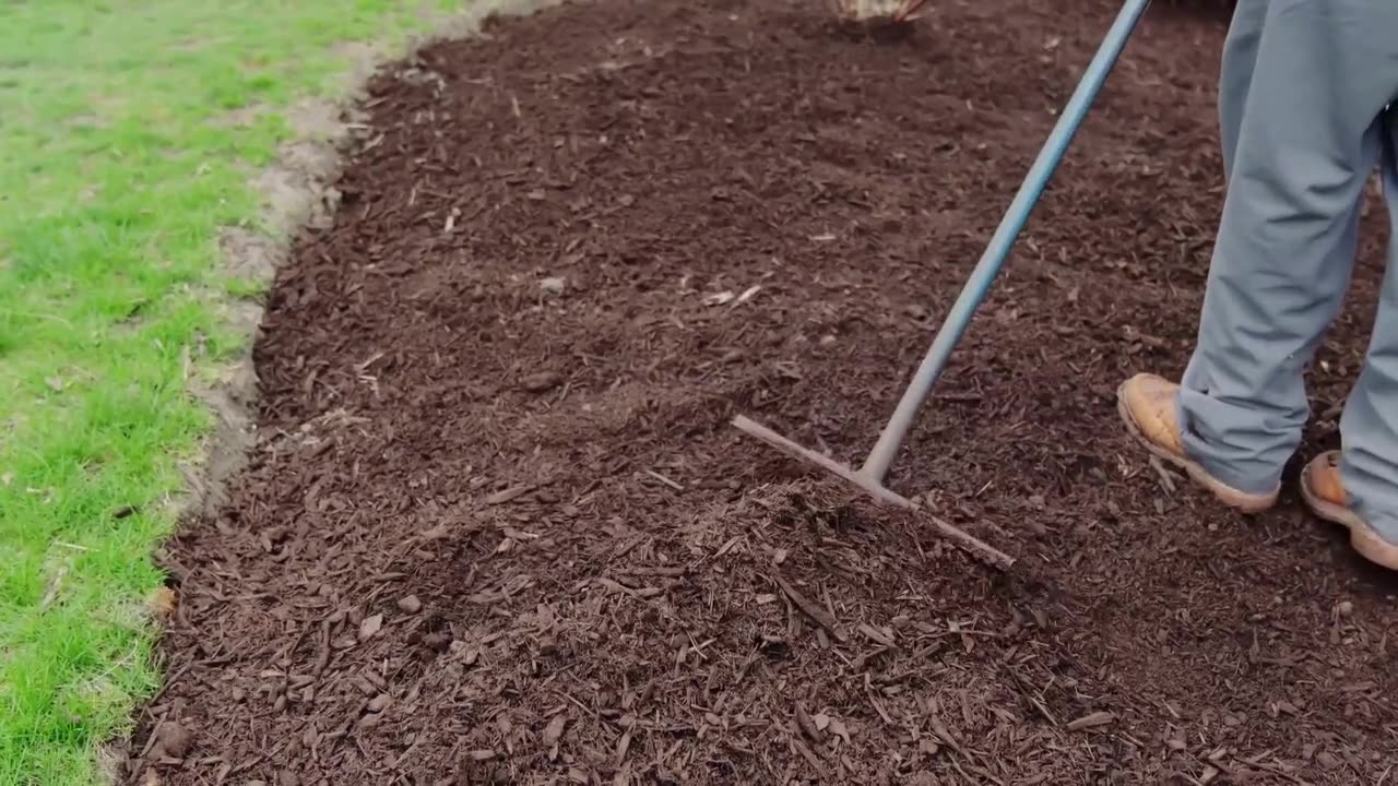 How to Prepare Azaleas for Spring