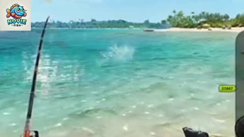 Fishing Clash Game Florida Coast Stage