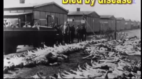 40 Questions About The Holocaust