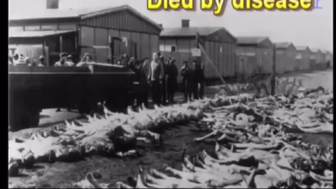 40 Questions About The Holocaust