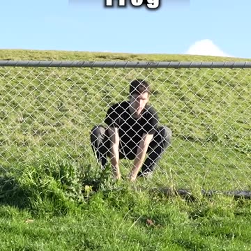 How Animals Get Over a Fence (With Emojis) 😂
