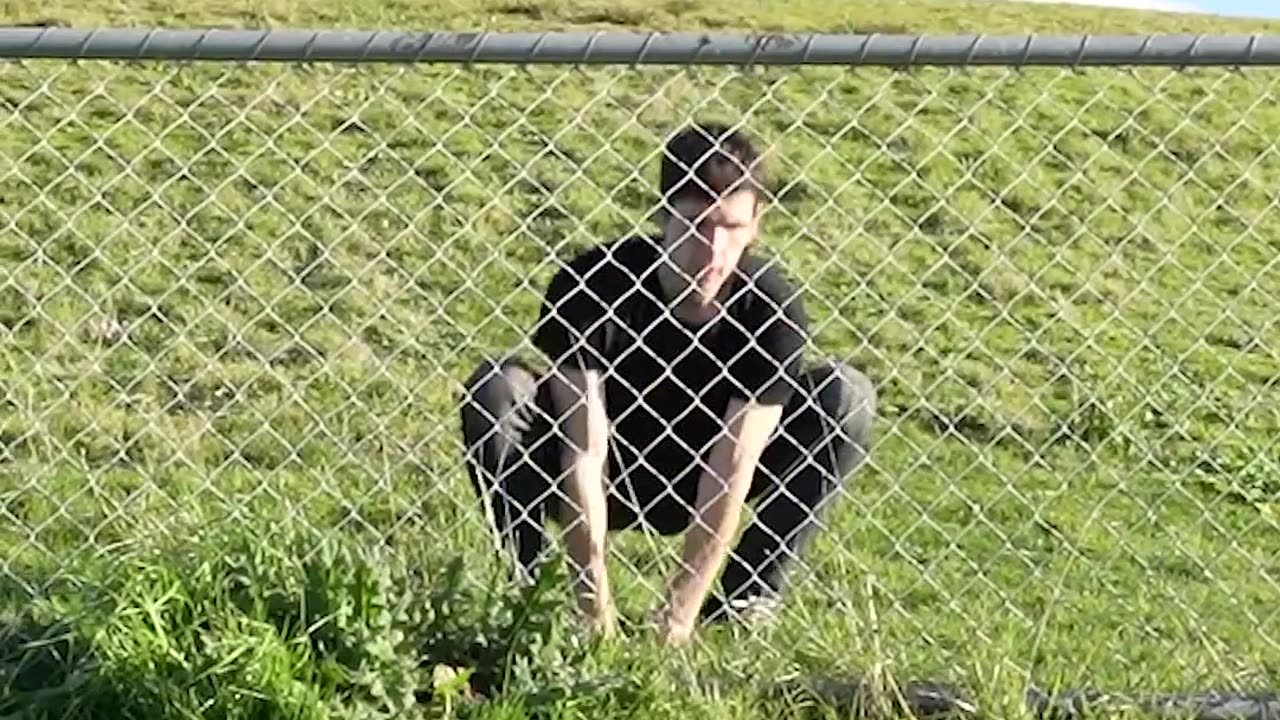 How Animals Get Over a Fence (With Emojis) 😂