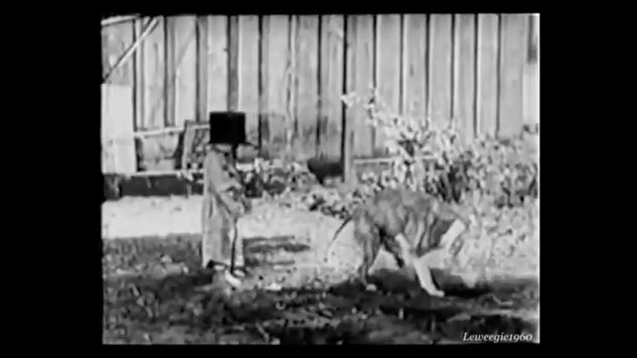 y2mate.com - 69 Our Gang Playin Hookey 1928_360p