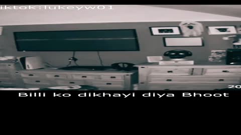 Billi ko dikhayi diya Bhoot