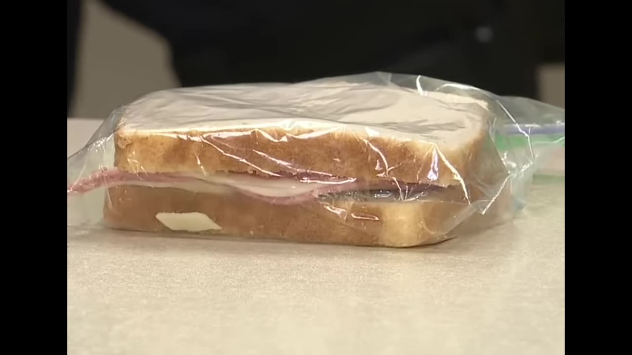 Detroit-Area K9 Reprimanded for Stealing Officer's Sandwich