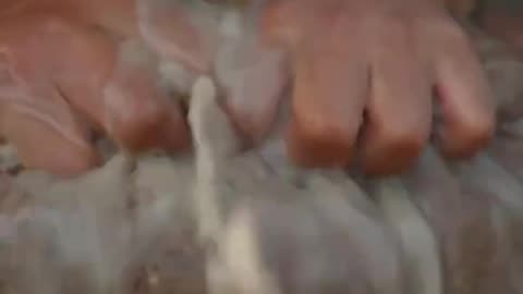 Making layer cake from water chestnuts