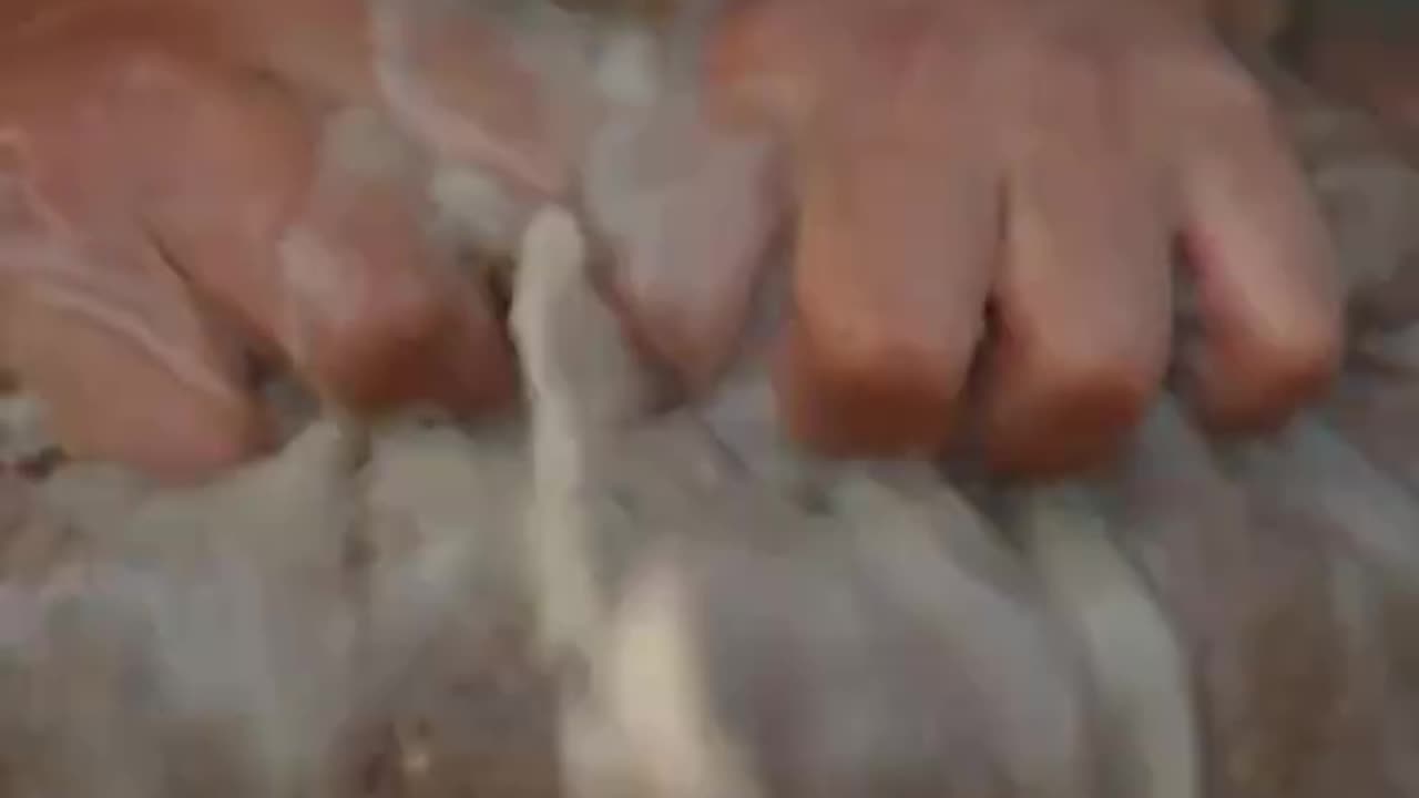 Making layer cake from water chestnuts