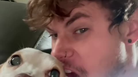 Funny dog moments 2