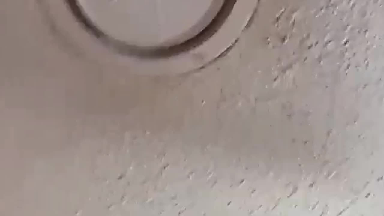 Breion thoughts and opinions on Pretty TeeTee and Yayo