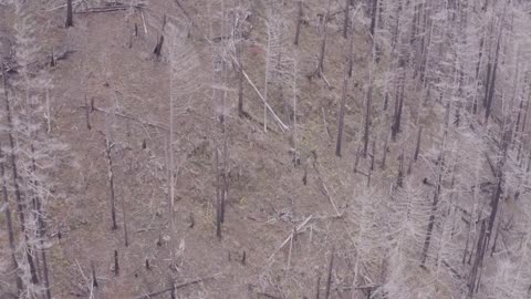 searching for Devon-3