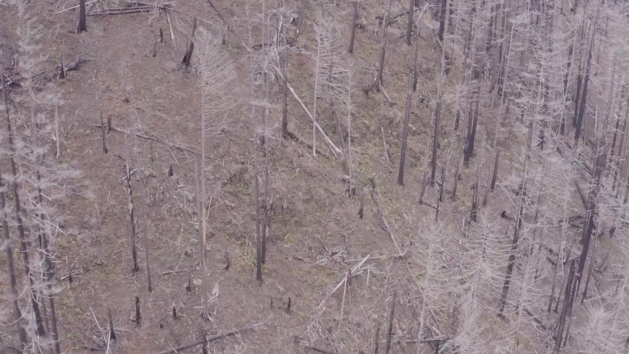 searching for Devon-3