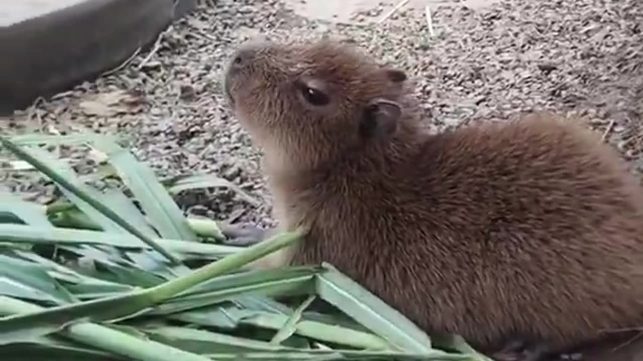 A typical couple argument 😂